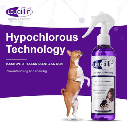 Leucillin Antiseptic Dog Cat Skin Care Solution Spray Instant Germ Killer