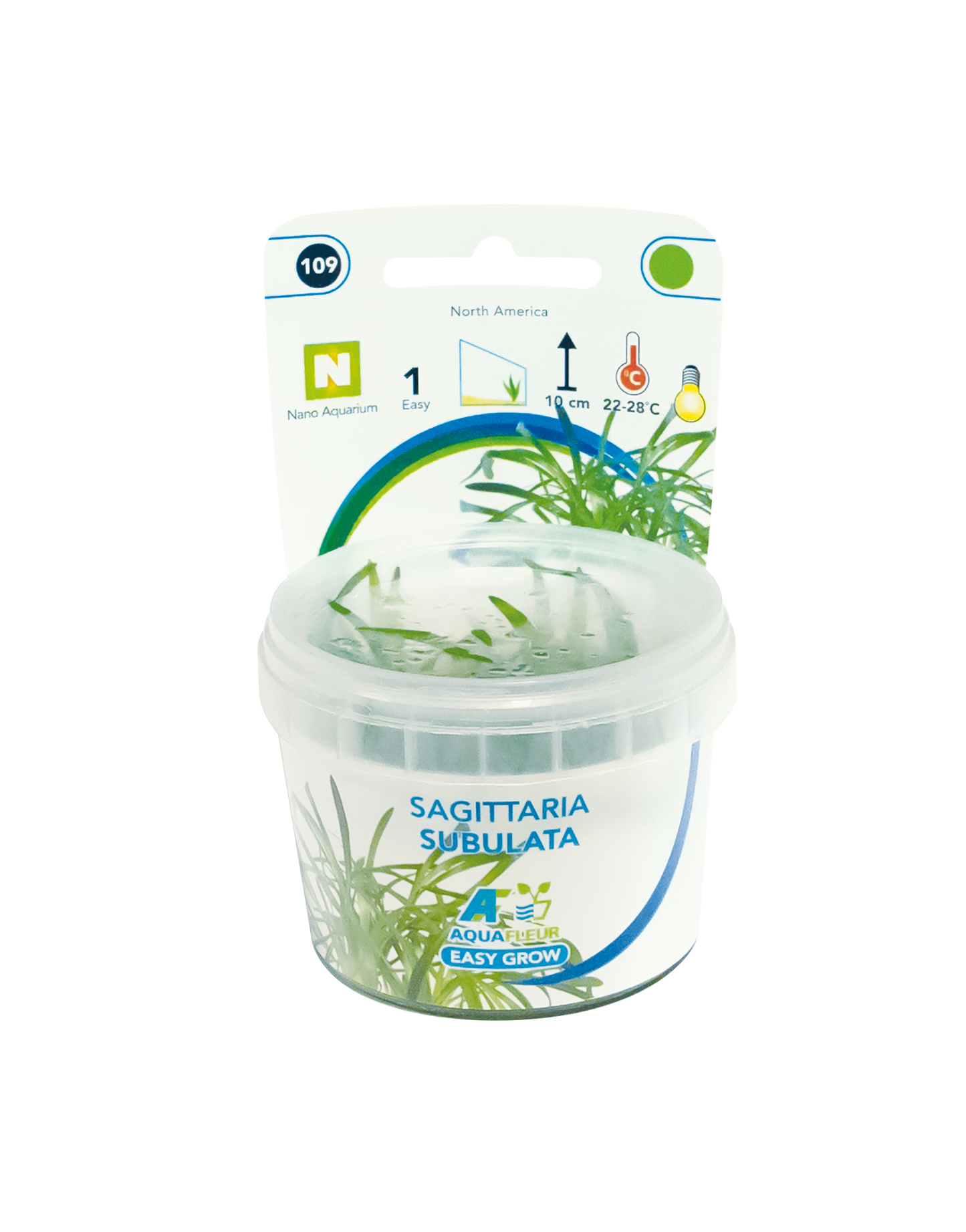 Aquafleur Easy Grow 109 Sagittaria Subulata 