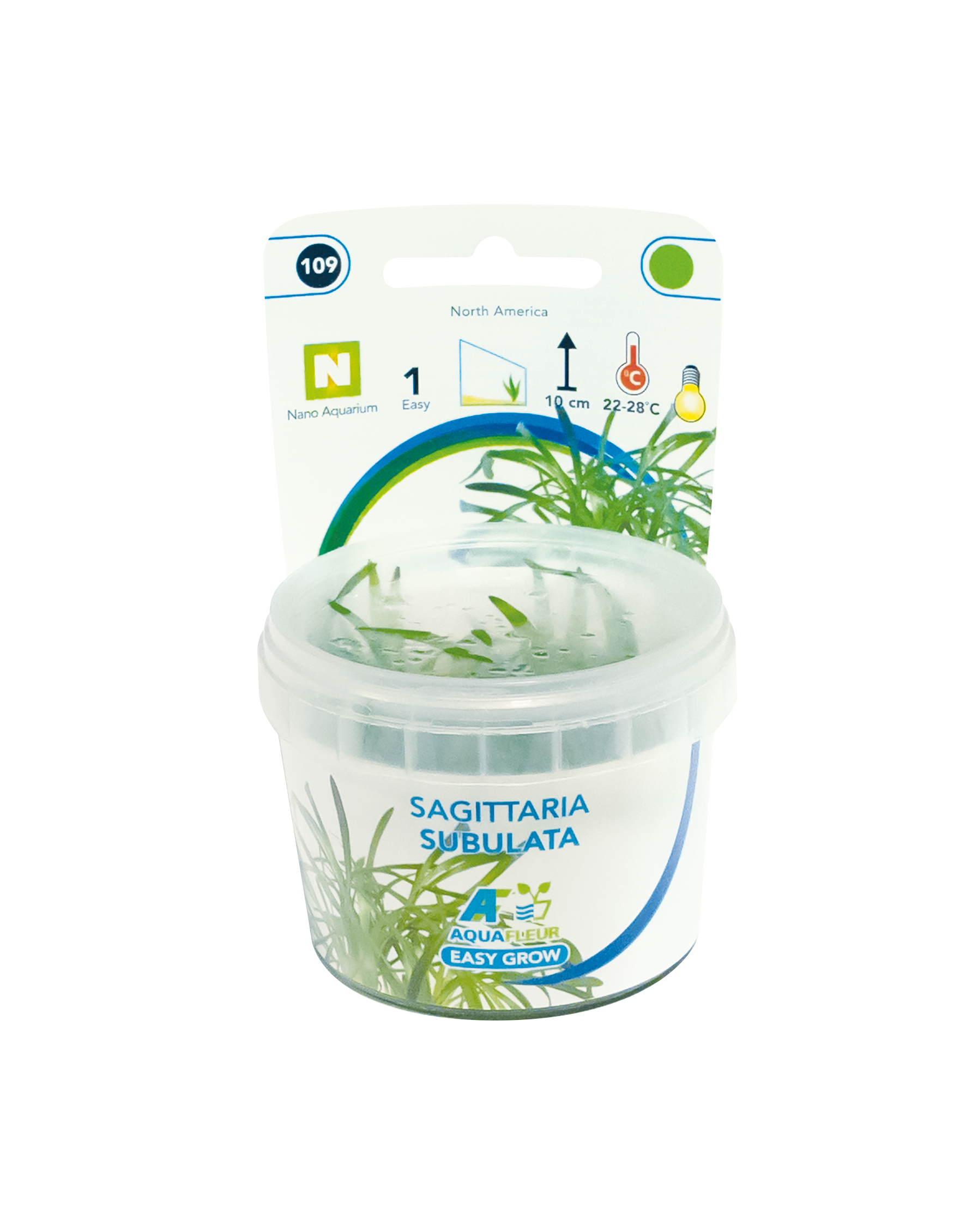 Aquafleur Easy Grow 109 Sagittaria Subulata 