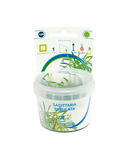 Aquafleur Easy Grow 109 Sagittaria Subulata 