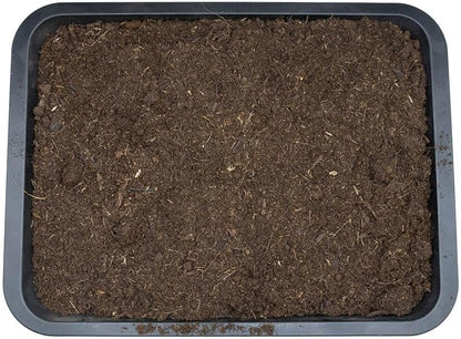 Arcadia EarthMix Prairie 10L Bioactive Substrate Reptile Amphibian Vivarium Soil