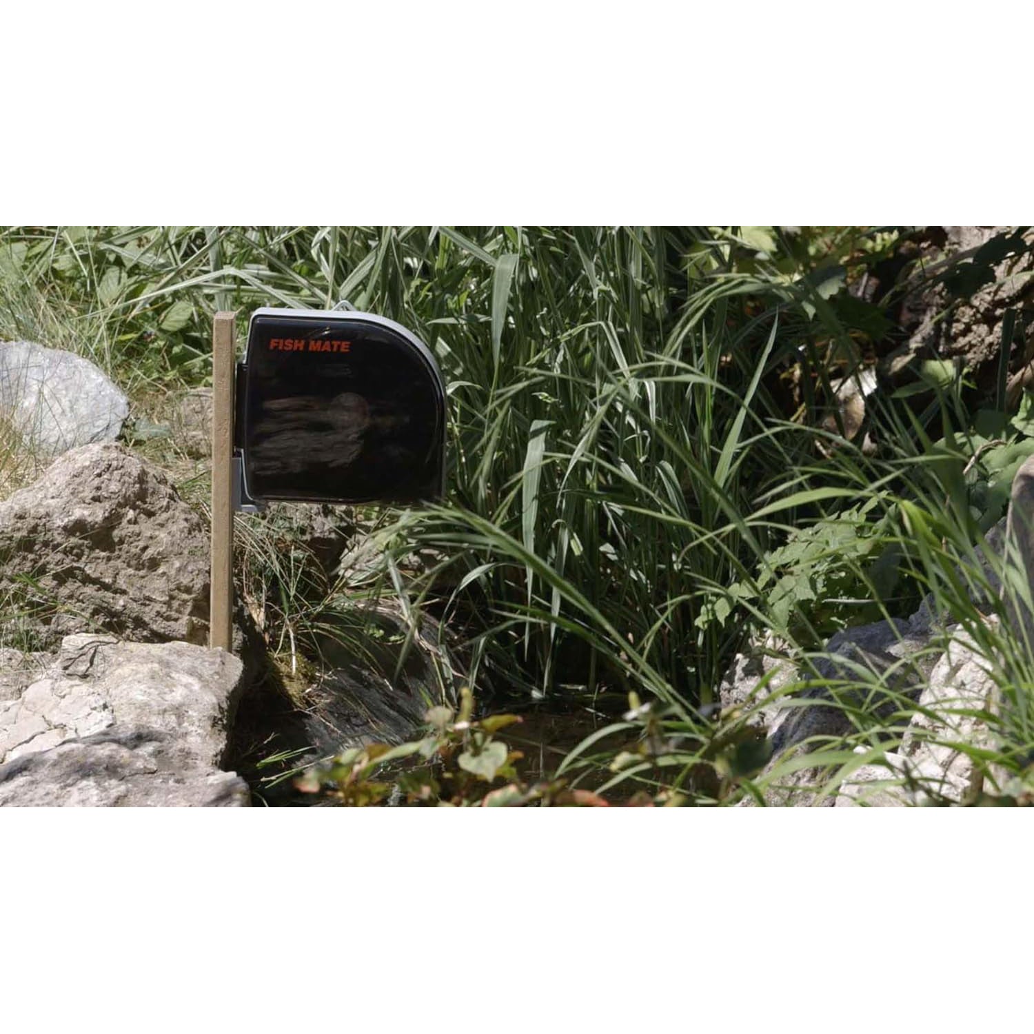 Fish mate p21 automatic pond fish feeder hotsell