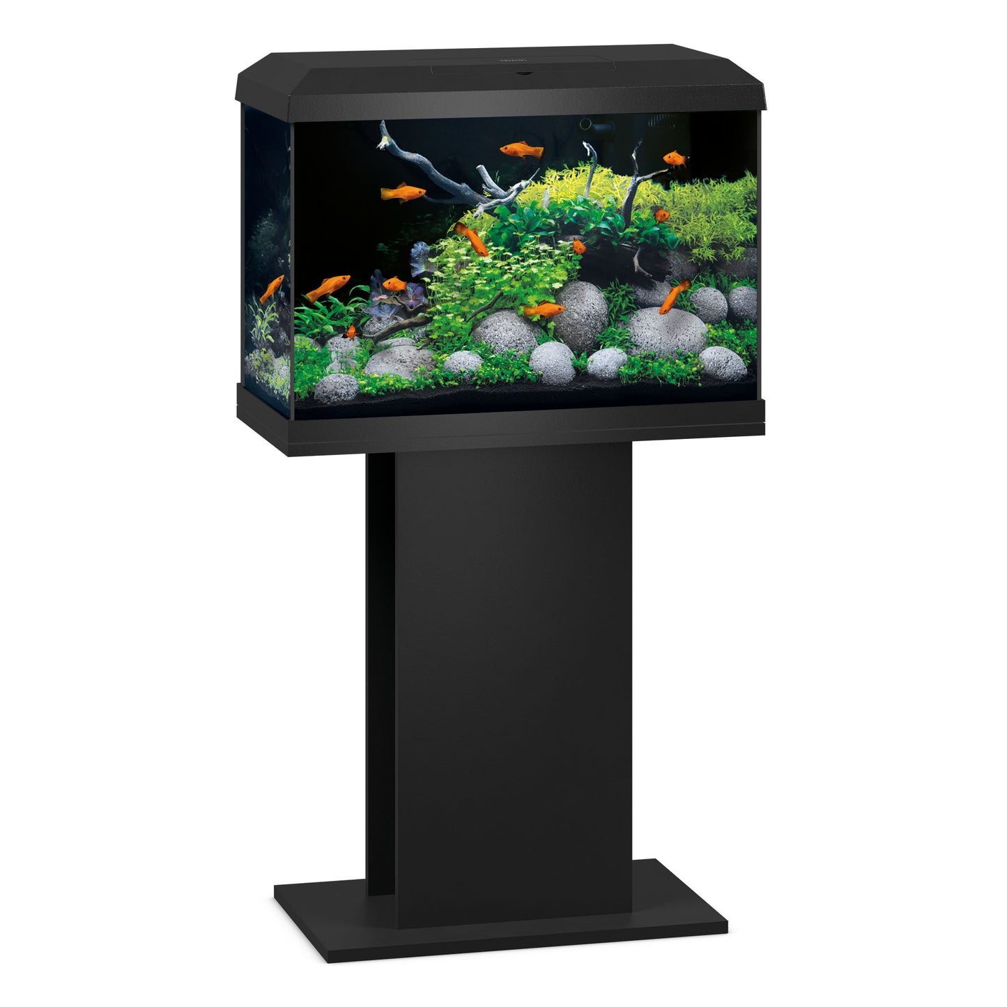 Juwel Primo 70 Black Aquarium