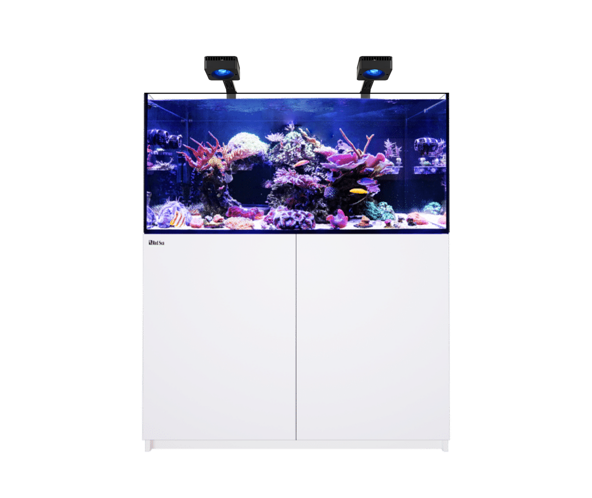 Red Sea Reefer MAX 350 G3 Aquarium