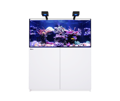 Red Sea Reefer MAX 350 G3 Aquarium