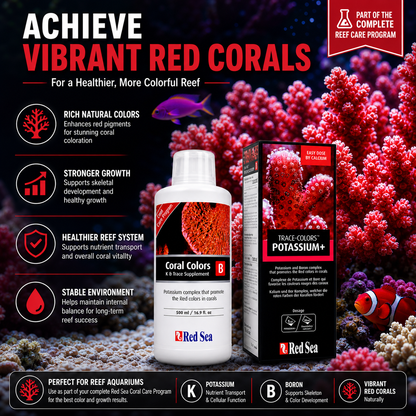 Red Sea Reef Colours B 500ml - R22053