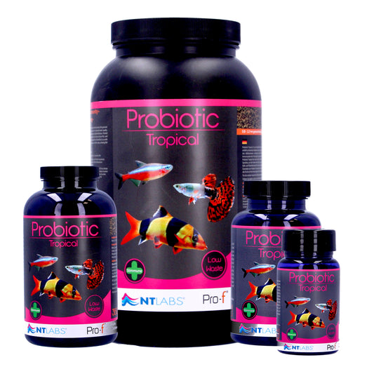 NT Labs Tropical Probiotic Sinking Pellets