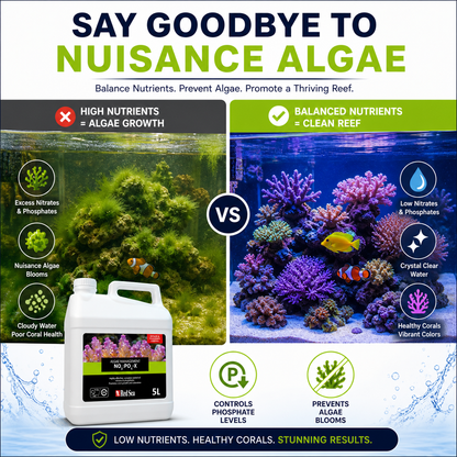Red Sea N:P-X Nitrate and Phosphate Reducer 5000ml - R22206