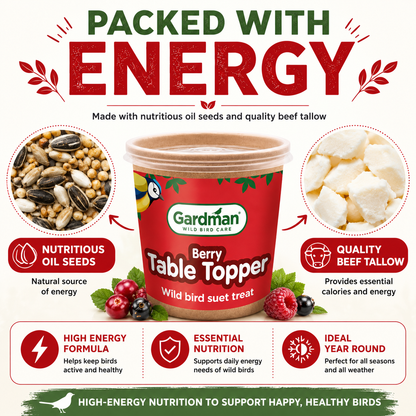Gardman Table Toppers Berry High Energy Wild Bird Treats Food