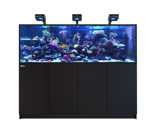 Red Sea Reefer MAX 750 G3 Aquarium