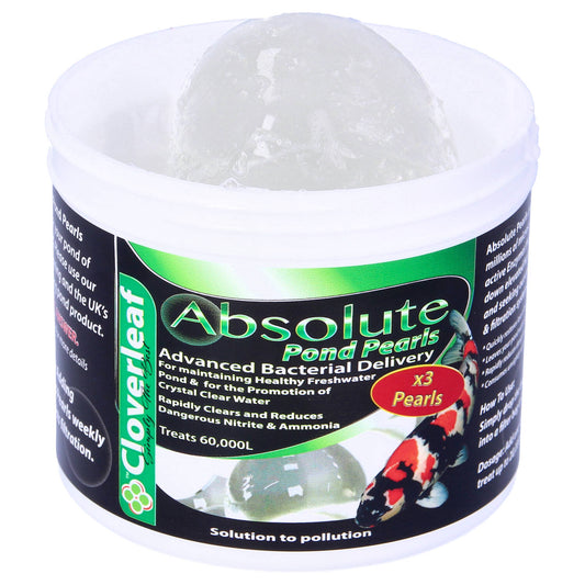 Cloverleaf Absolute Pearls - 3 XL Balls