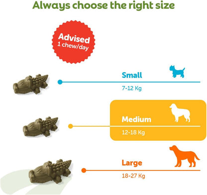 Whimzees Natural Daily Dog Dental Care Chews Treats – Multi Shapes & Sizes 