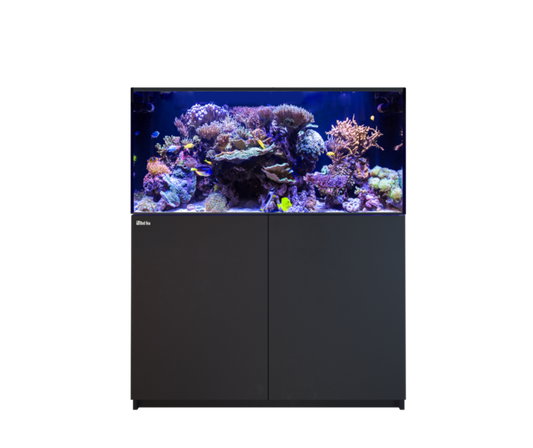 Red Sea Reefer 425 G3 Aquarium