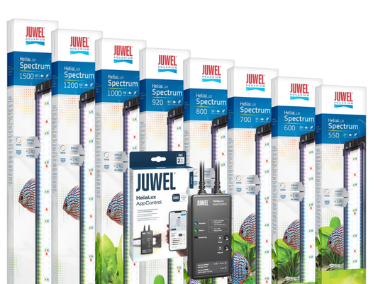 Juwel HeliaLux Spectrum LED Unit With AppControl Aquarium Lighting