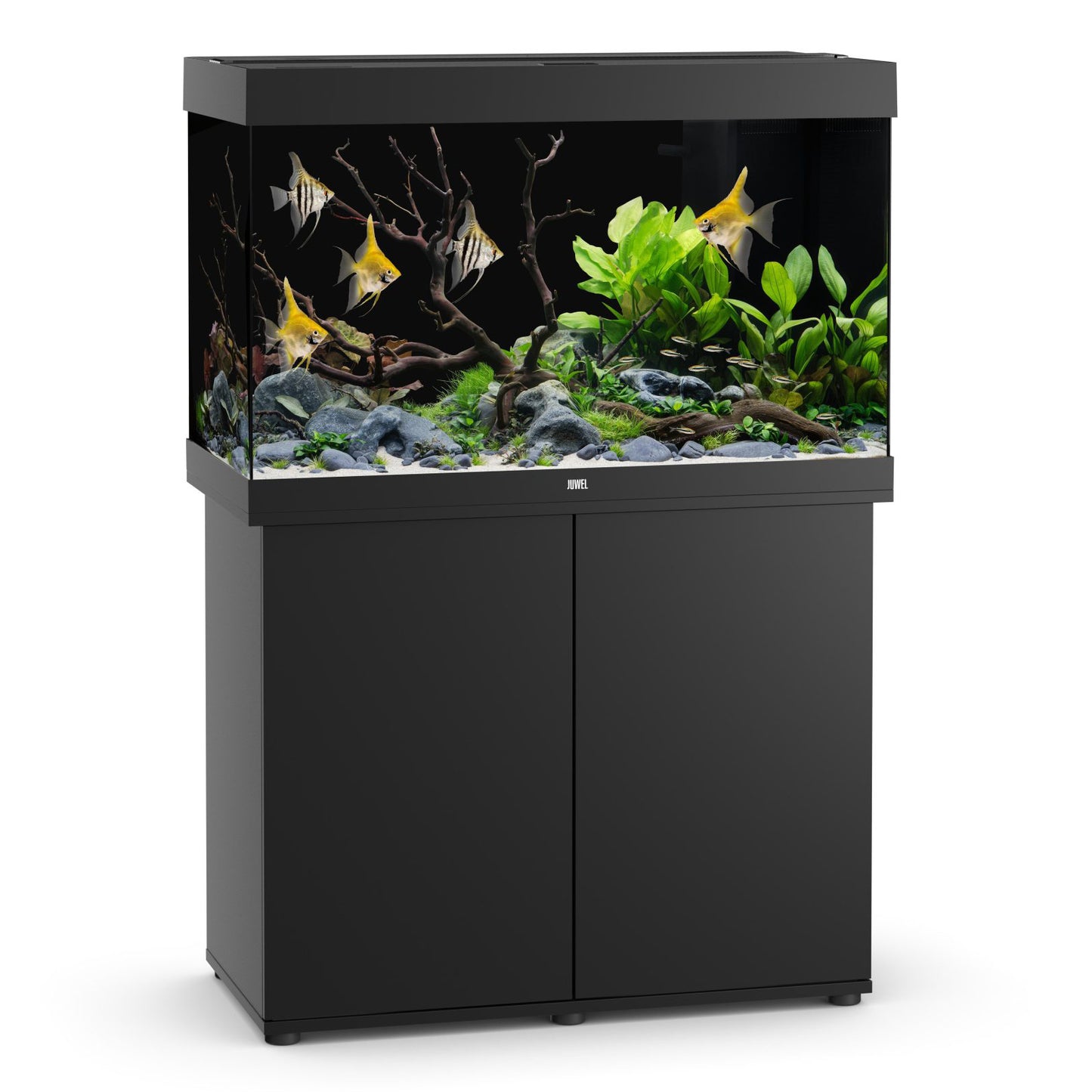 Juwel Rio 290 LED Aquarium & Cabinet