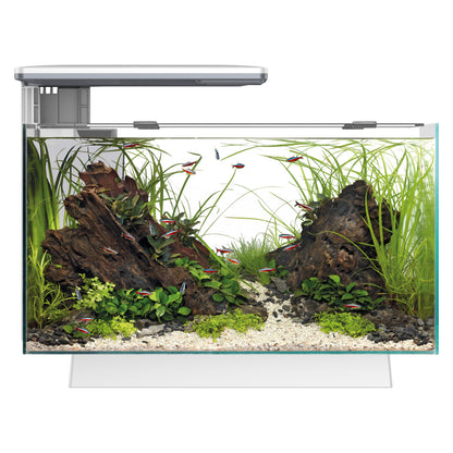 Superfish Quadro 40 Multi-Colour Aquarium with Cabinet