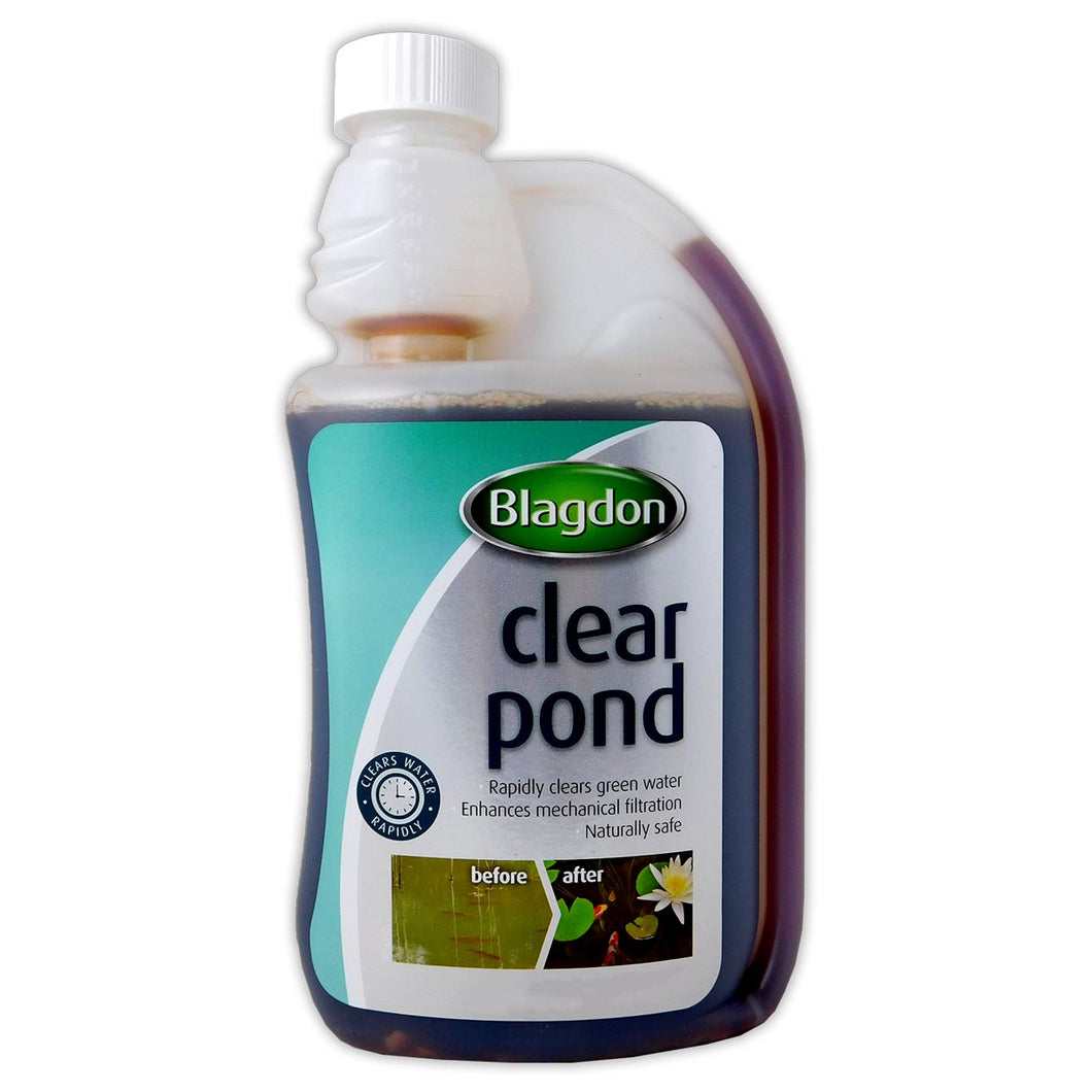 Blagdon Clear Pond