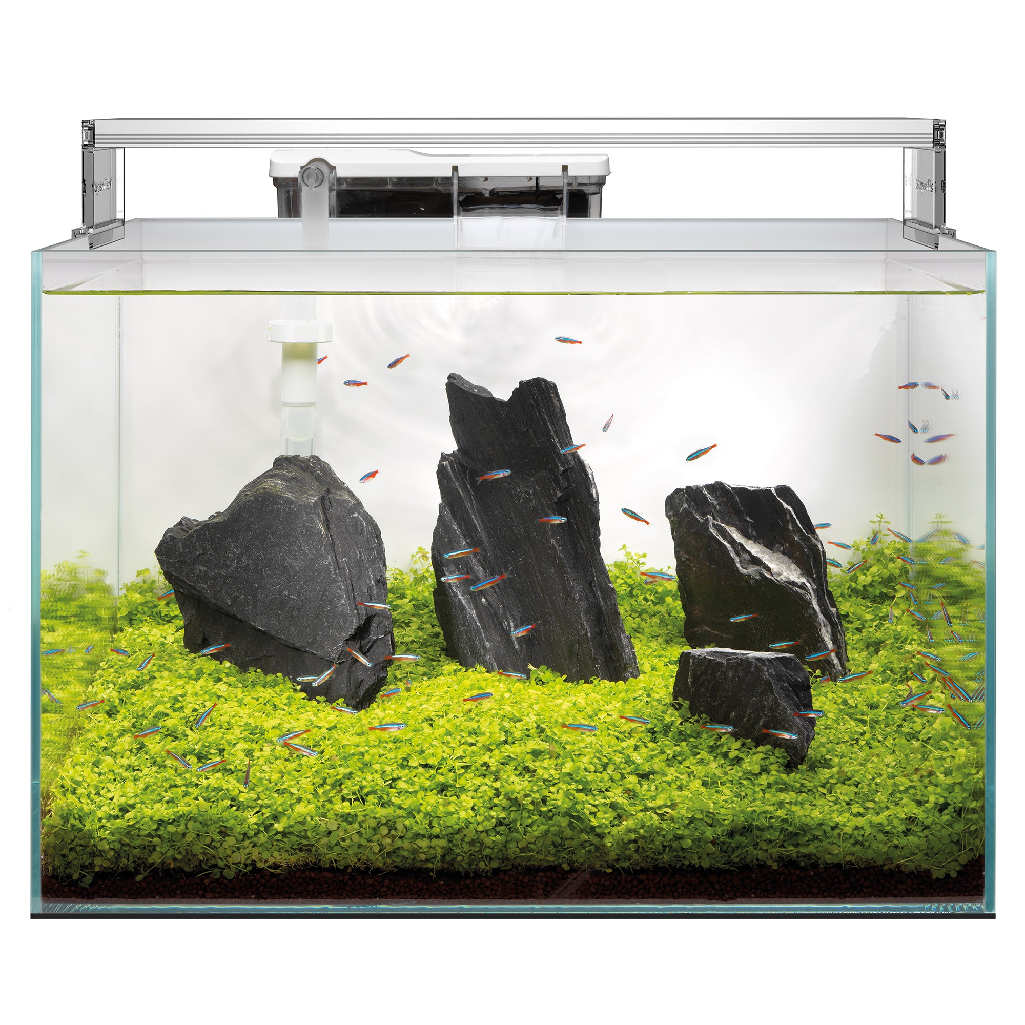 40l fish tank best sale