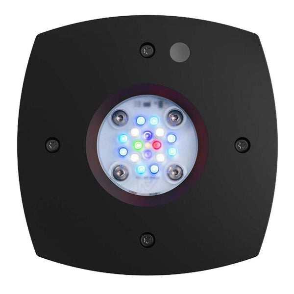 AI Prime 16 HD LED Light | Improved Optics | Water Resistant