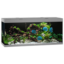 Juwel Rio 450 LED Aquarium Only