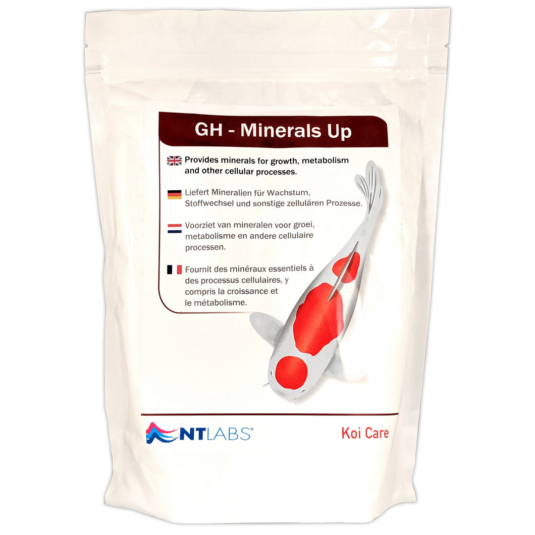 NT Labs GH - Minerals Up
