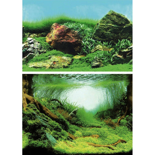 Superfish Deco Poster C (Mossy Aquascape)