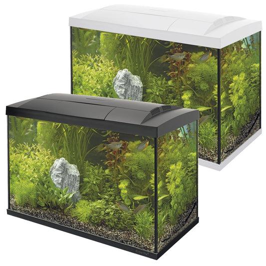 Medium Fish Tanks | 50-100L Aquariums | Aquacadabra