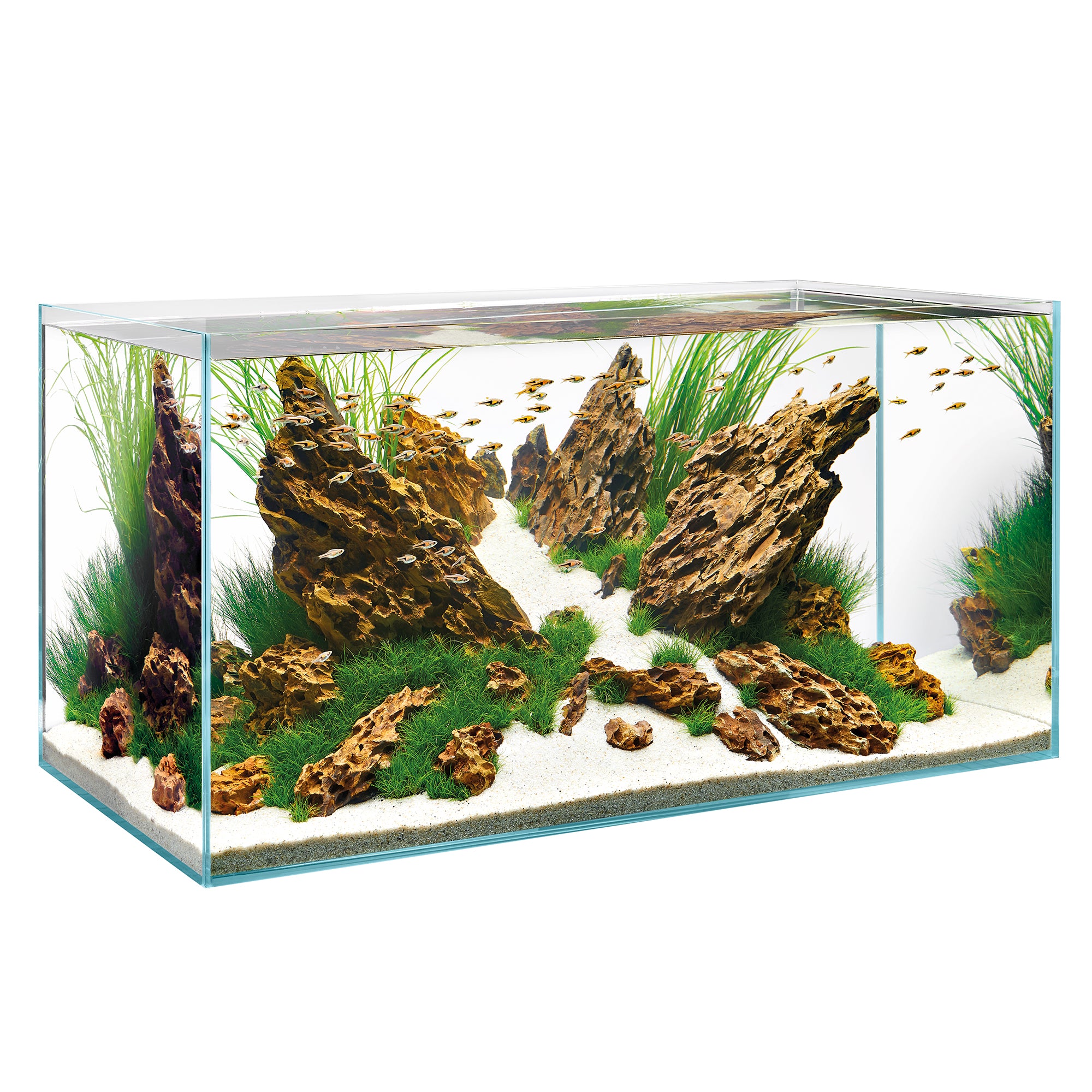 Oase ScaperLine 90 Aquarium from Aquacadabra