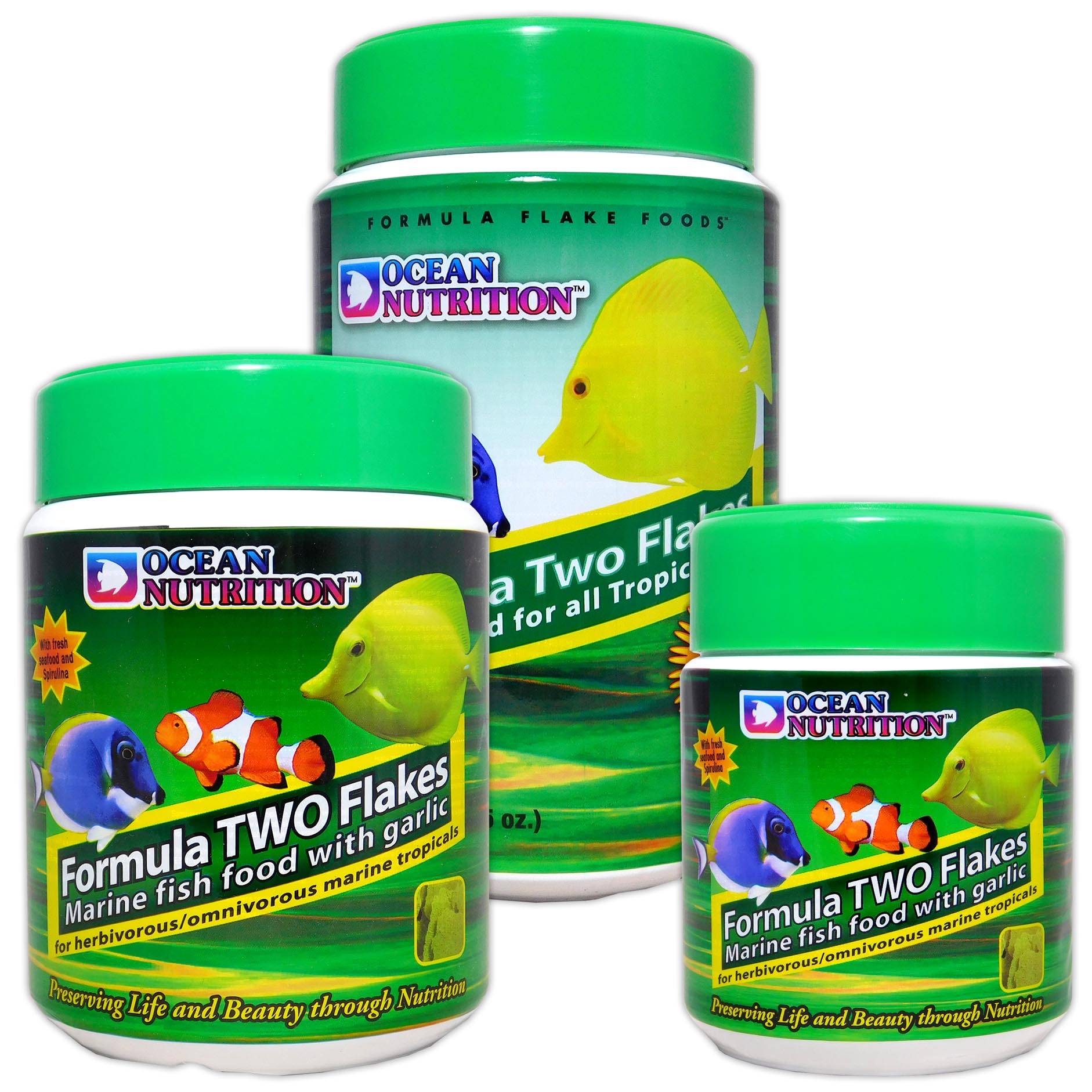 Ocean Nutrition Formula 2 Flakes