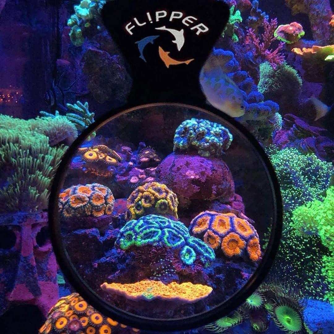 Flipper Deepsee Magnifying Viewers