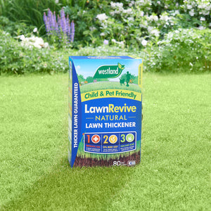 Westland Revive Lawn Thickener Box 80sqm 