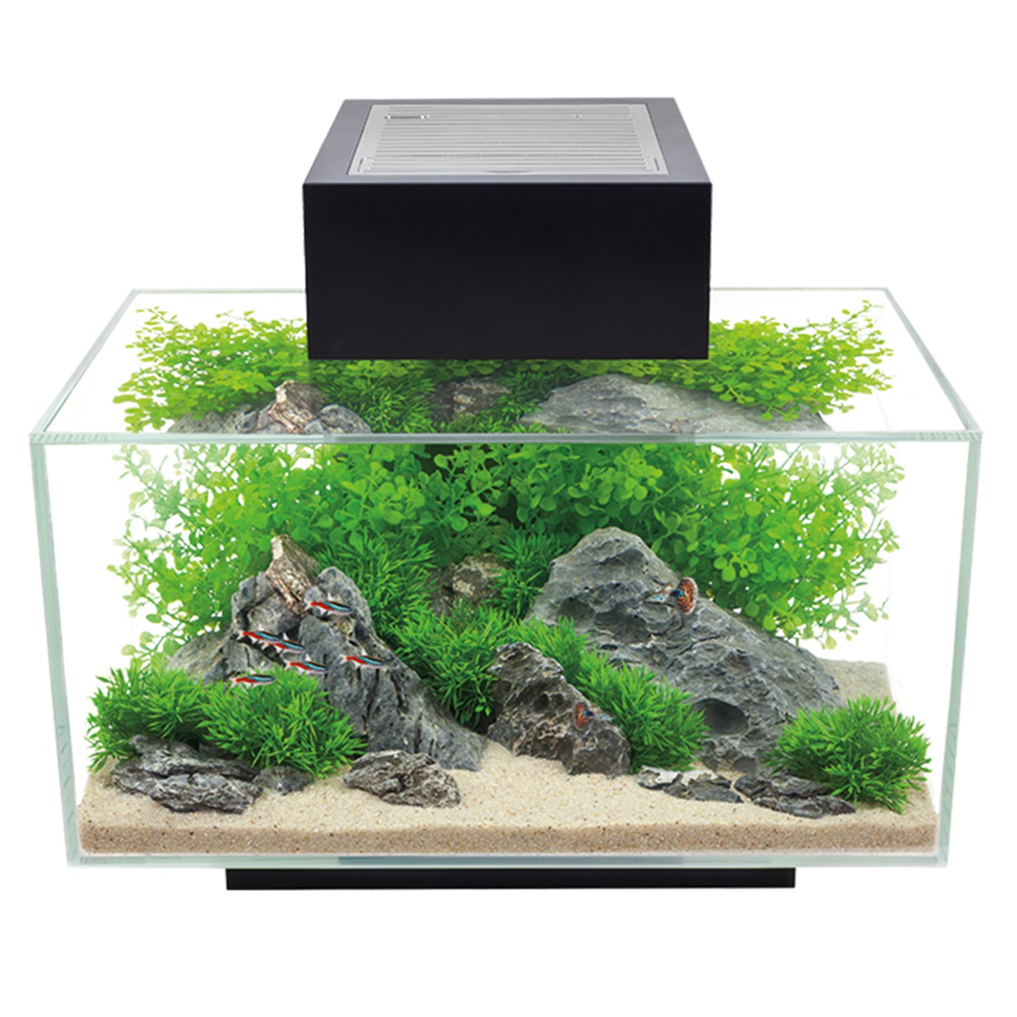 Fluval Edge 2.0 23L Aquariums