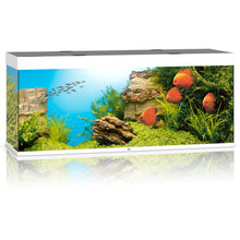 Juwel Rio 450 LED Aquarium Only