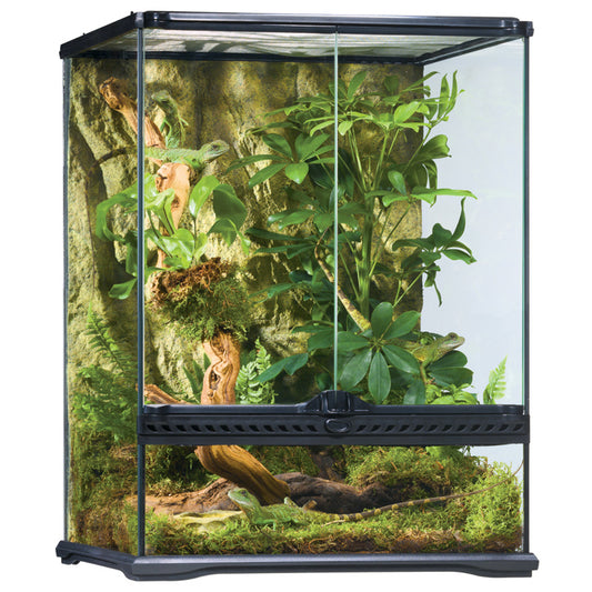 Exo Terra Glass Terrarium Small/Tall 45x45x60cm