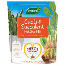 Westland Cacti & Succulent Potting Mix 4L