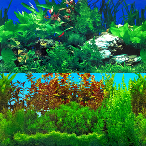 Rocky Green / Lush Aquarium Repeating Background (12" height)
