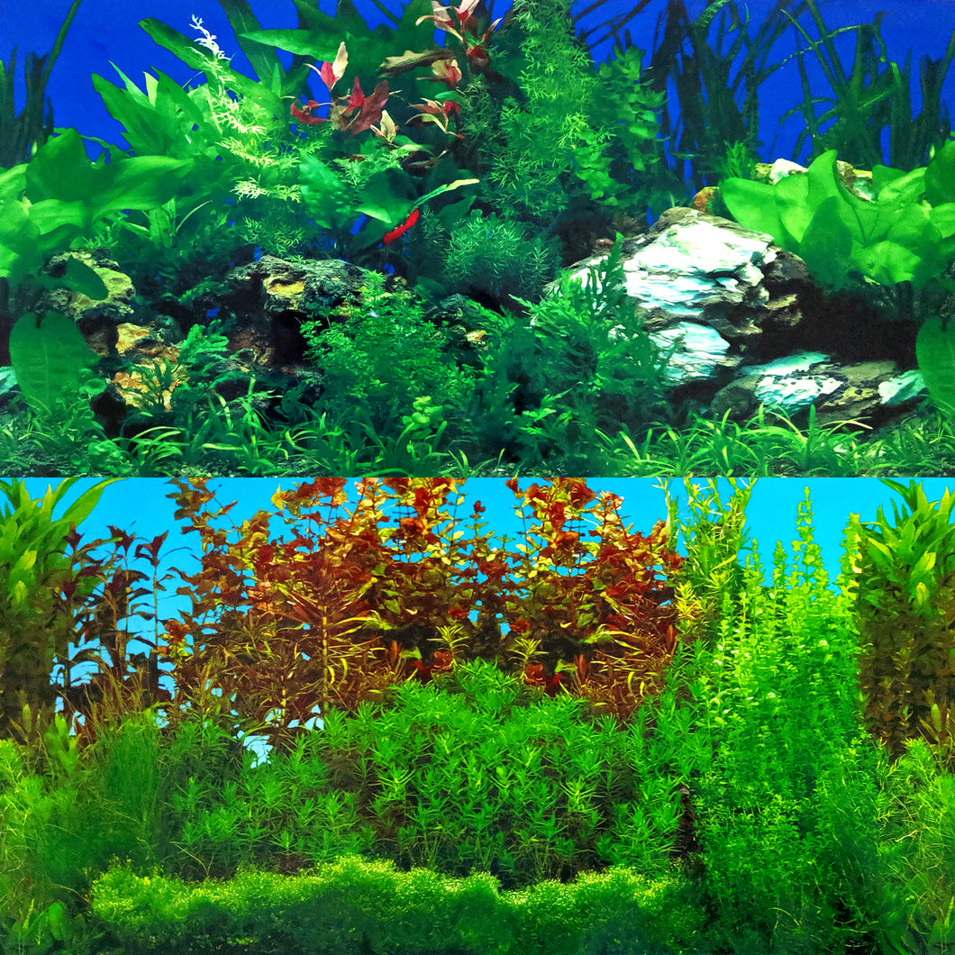 Rocky Green / Lush Aquarium Repeating Background (12