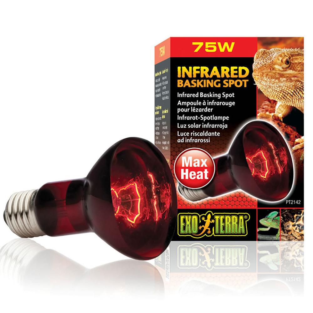 Exo Terra Infrared Basking Spot 75w - PT2142