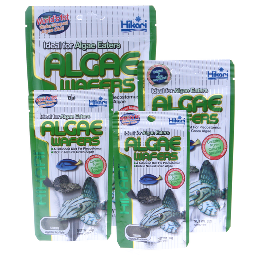 Hikari Algae Wafers