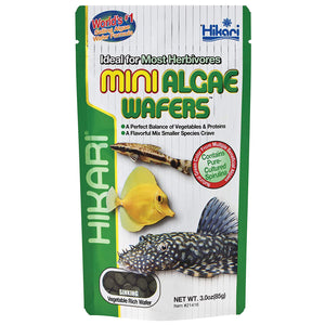 Hikari Mini Algae Wafers