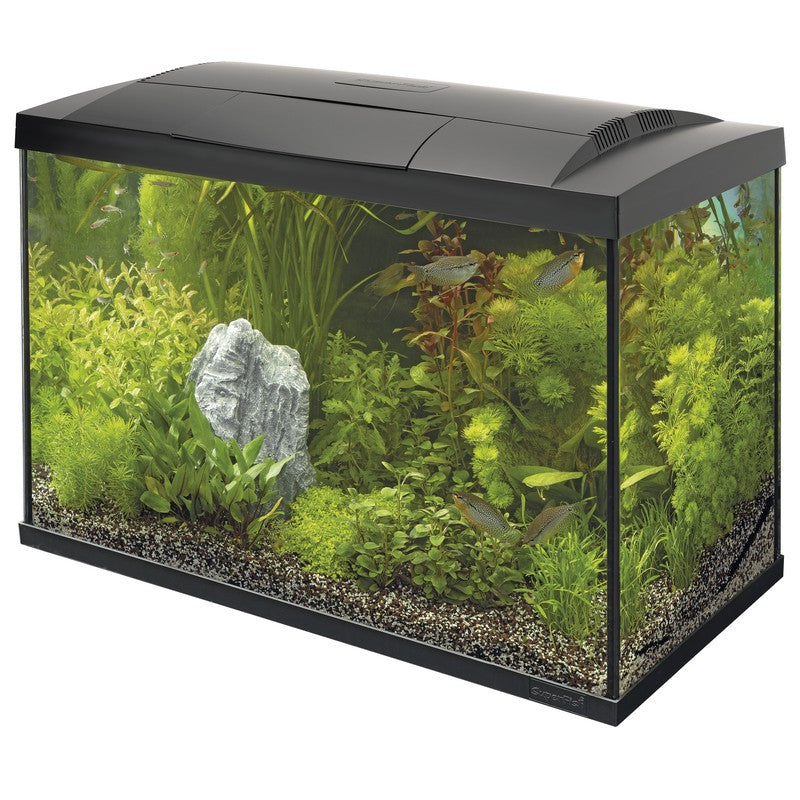 Superfish Start 100 Tropical Aquarium Kits