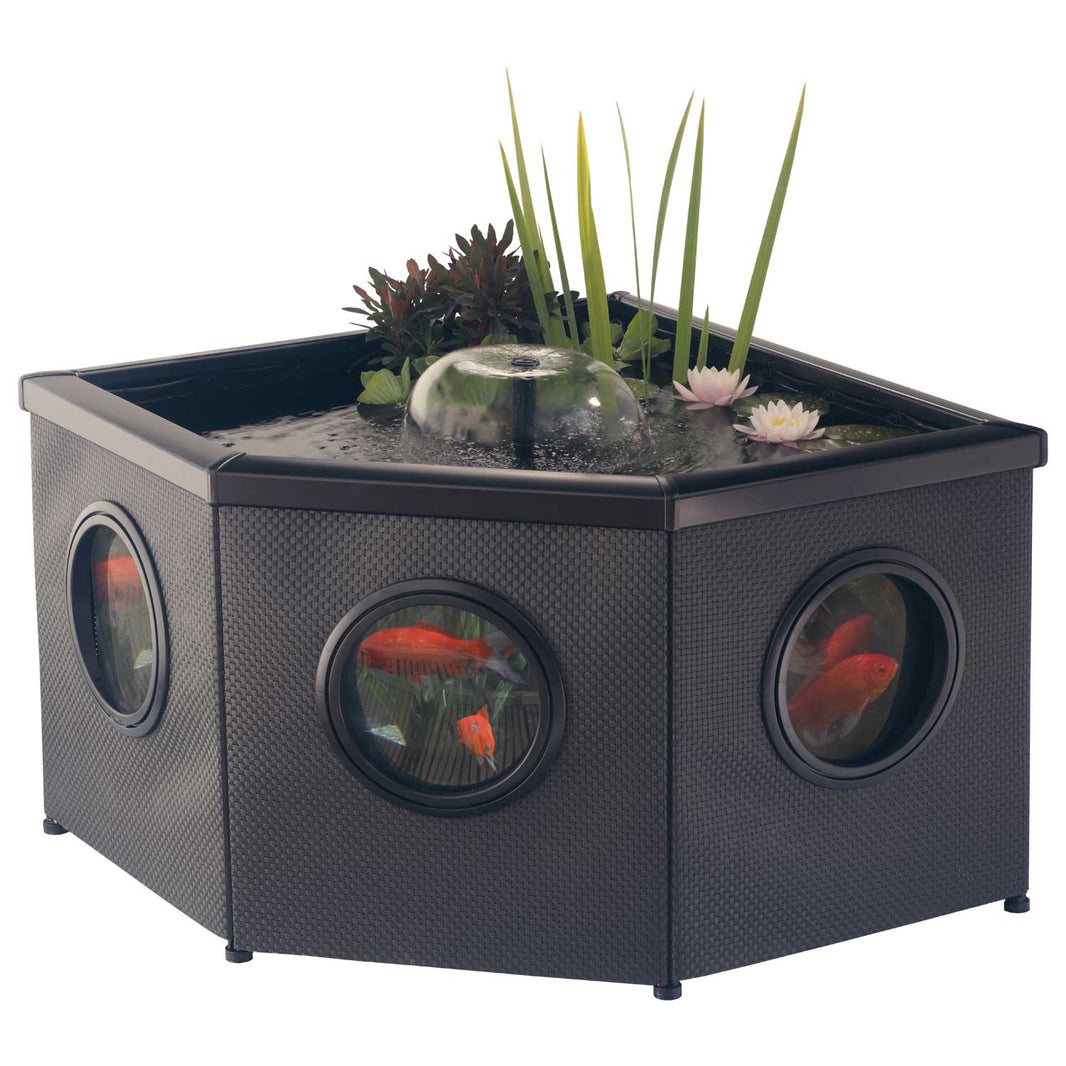 Above Ground Ponds | Raised Ponds | Aquacadabra