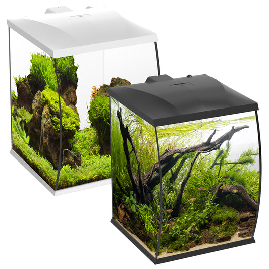 Betta Curve 35L Bow-Front Aquariums