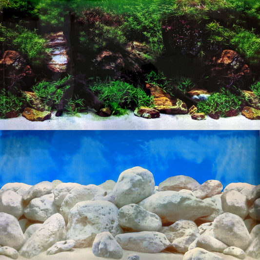 Repeating Double Aquascape Background