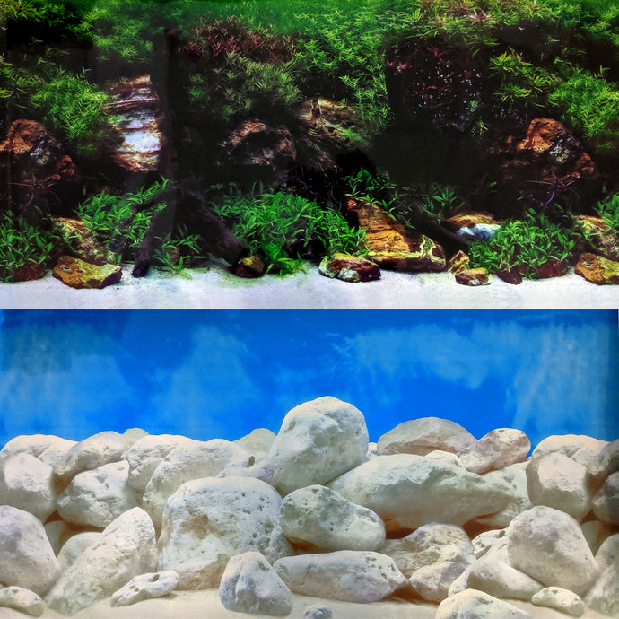 Repeating Double Aquascape Background