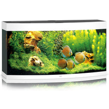 Juwel Vision 260 LED Aquarium Only
