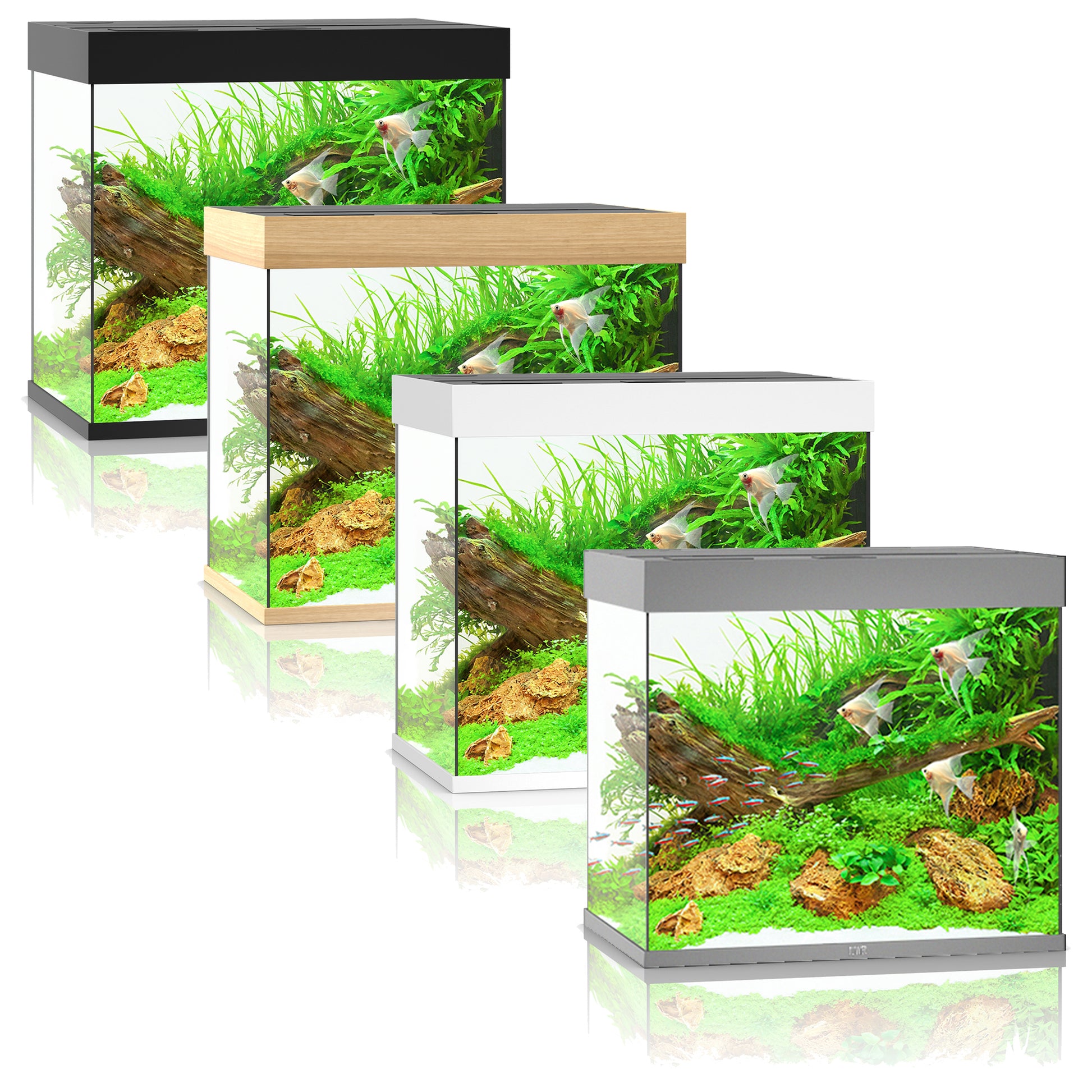 Juwel Lido 200 LED Aquarium Only