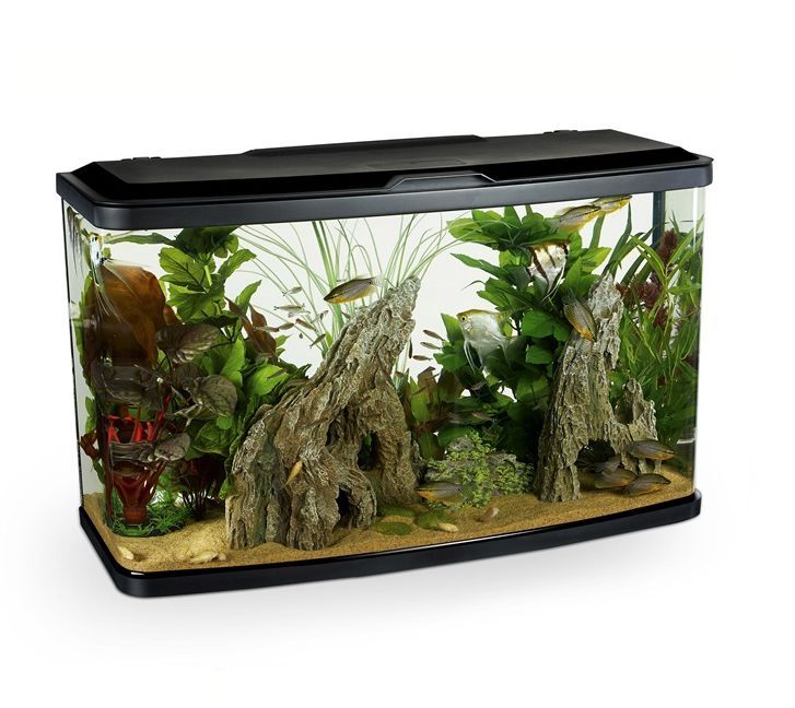 70 litre fish tank hotsell