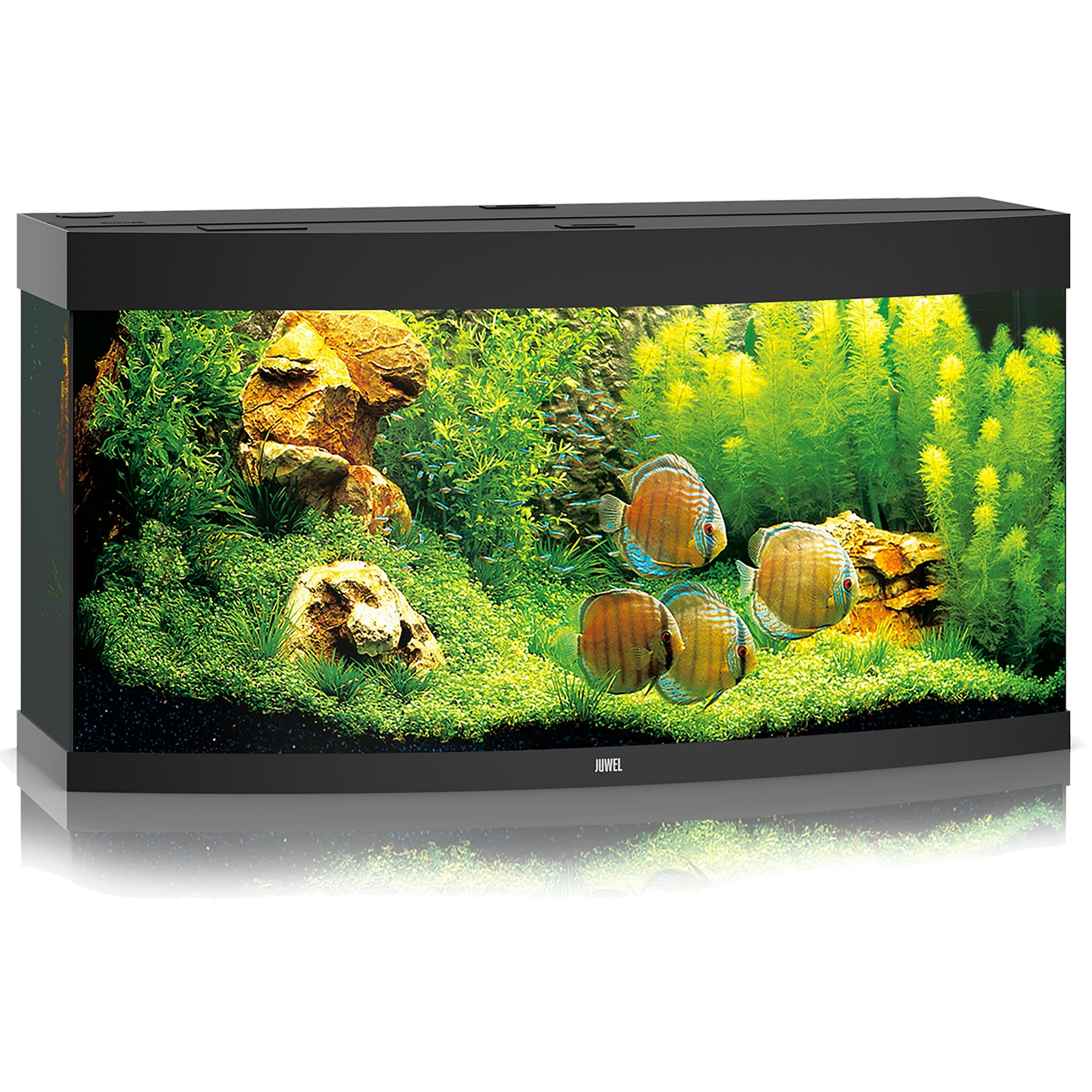 Juwel Vision 260 LED Aquarium Only