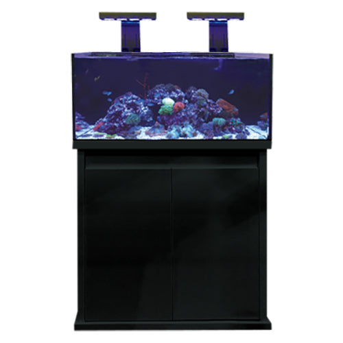 Aquacadabra aquarium shop